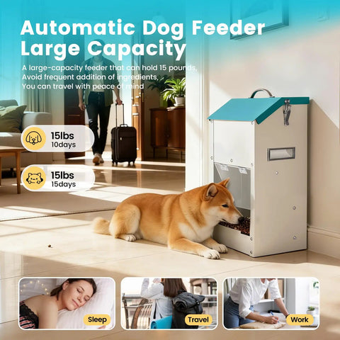 No Sweat Automatic Dog Feeder For Large Breeds With Galvanized Dry Food Dispenser And Clear Gravity Door Blocks Critters While Your Favorite Pup Enjoys Straight Up Chow Days Daily, dog feeding, large capacity, indoor use, tan dog eating from feeder.