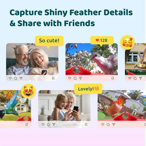 Lifestyle photos showing Smart Hummingbird Feeder With Camera And Solar Power, Live View And 1080P Video, Instant Alerts, Dual Perch.