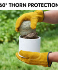 3 Pack Unlined Cowhide Leather Work Gloves for Heavy Duty Driving, Warehouse, Farm, Gardening and DIY Projects, Size XL, Gold CB9501, Tough As Nails Hand Protection You Can Rely On holding cactus in white pot outdoors