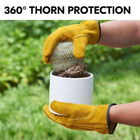 3 Pack Unlined Cowhide Leather Work Gloves for Heavy Duty Driving, Warehouse, Farm, Gardening and DIY Projects, Size XL, Gold CB9501, Tough As Nails Hand Protection You Can Rely On holding cactus in white pot outdoors