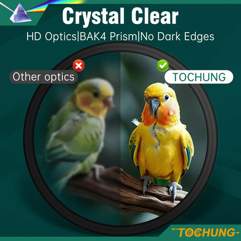 20 To 60x80 HD Spotting Scope With Waterproof Build For Long Range Viewing High Powered Telescope With Fully Multicoated Optics Crystal Clear Image And Wide Field Of View For Birding And Outdoor Adventures showing bird clarity comparison