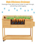Front view of ergonomic elevated garden bed on wheels with cover and storage shelf, showcasing drainage system and plants.