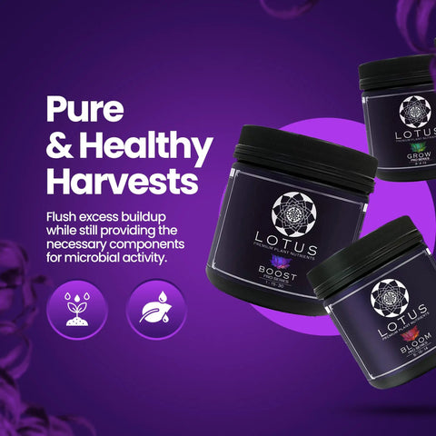 Three Part Plant Nutrient Starter Kit With Grow Bloom And Boost Powders For Hydroponics Coco Coir And Soil, Boost jar focus