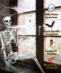 Life Size Halloween Skeleton With Seven Joints 5.4 Ft Realistic Human Bones Made From PP seated by window