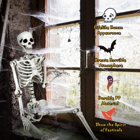 Life Size Halloween Skeleton With Seven Joints 5.4 Ft Realistic Human Bones Made From PP seated by window