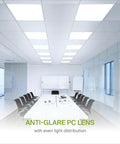 Workhorse 2x2 LED Flat Panel Light 25W 3250LM 5000K Daylight Dimmable Ceiling Panels installed in modern office