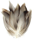 Pack Of 50 Flank Feathers For Fly Tying Natural Barred Mallard Duck Flank Feathers With Wild Goose Hair Wing, top view bundle