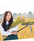 Woman in field holding Replacement Sickle Heads 9 Pack Carbon Steel Weeding Blades No Handle For Lawn Care Harvest