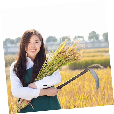 Woman in field holding Replacement Sickle Heads 9 Pack Carbon Steel Weeding Blades No Handle For Lawn Care Harvest