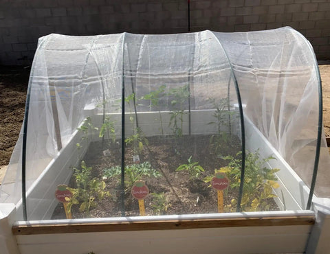 See Through Garden Netting 8.2 By 16.4 Feet Bug And Bird Barrier Netting for plants in raised planter box, installed view