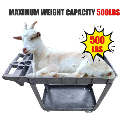 Heavy Duty Plastic Utility Cart With Dual Shelves Bearing Five Hundred Pounds Swishes Through Doorways On Four Silent Casters With Two Flex Swivel Wheels Making Warehouse Tasks A Total Breeze
