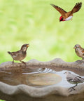4 Piece Pure Copper Disks For Bird Baths 4 Inch Surface Protectors For Outdoor Bird Bath Bowls And Bee Watering Stations
