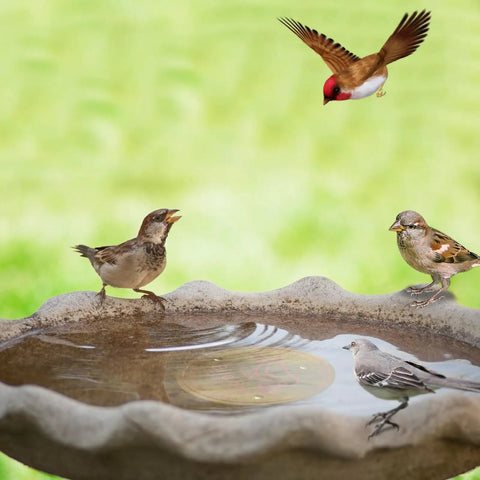 4 Piece Pure Copper Disks For Bird Baths 4 Inch Surface Protectors For Outdoor Bird Bath Bowls And Bee Watering Stations
