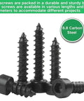 Top Shelf M2 Hex Socket Cap Screws Assortment Kit with 480 Pieces showing black self-tapping screws in various sizes, 8.8 carbon steel.