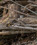 Realtree Camo Duct Tape Roll 1.88 Inch Wide By 10 Yards Beefy Heavy Duty Craft Tape on pile of logs and branches