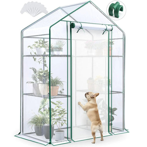 Walk In Outdoor Greenhouse 56 x 29 x 77 Inch Portable Garden Hot House Kit With 3 Tier clear plastic cover and plants inside