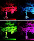RGB LED Flood Lights For Indoor And Outdoor Decor With Remote Control Waterproof Color Changing Wall Washer Dimmable Security Lighting US 3 Prong Plug 200W 16 Color Modes And Patterns illuminating tree in red, blue, green, and purple hues.