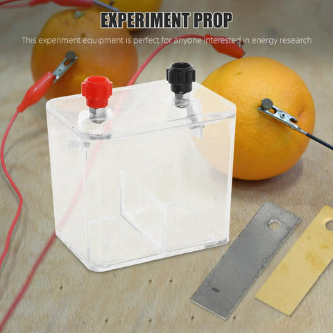 Fruit Battery Experiment Kit With DIY Science Plates For Education, Hands On Learning Tool For Students And Researchers