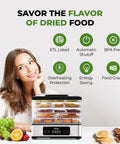 Compact 5 Tray Food Dehydrator With 48 Hour Timer And Adjustable Temp Control Legit 400W Electric Food Dryer with dried fruits.