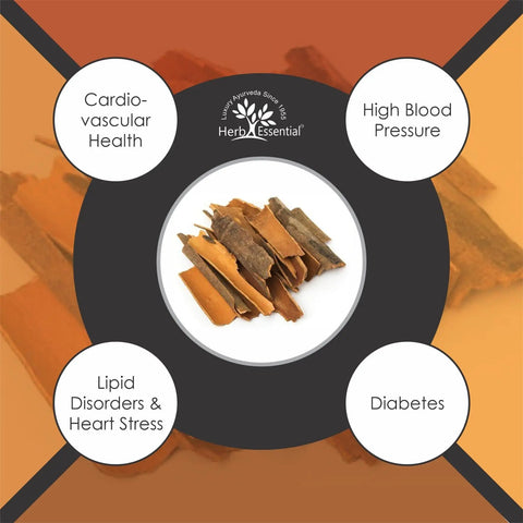 All Natural Arjuna Powder For Heart Health And Wellness, Terminalia Arjuna Bark Supplement, No Preservatives, Vegan And GMP Certified