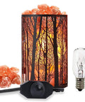 Natural Pink Himalayan Salt Lamp With Dimmer Forest Salt Crystal Night Light in retro red metal basket with 25W bulb