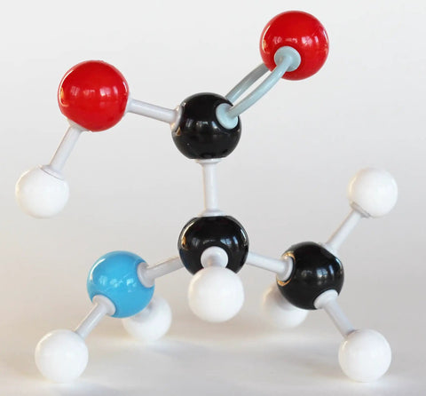 Organic Chemistry Model Kit For Students 125 Piece Hands On Learning Set With Color Coded Atoms and functional group models