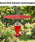Two Pack 11.5 Inch Metal Bird Feeder Rain Guard With Red Umbrella Dome Shield over feeder with hummingbird in a garden.