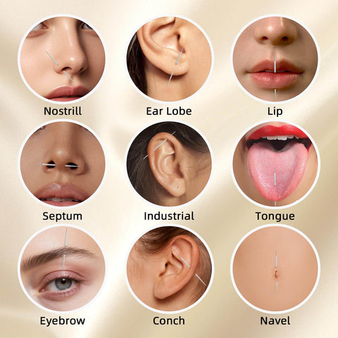 Close-up view of various piercings including nostril, ear lobe, lip, septum, industrial, tongue, eyebrow, conch, and navel locations.