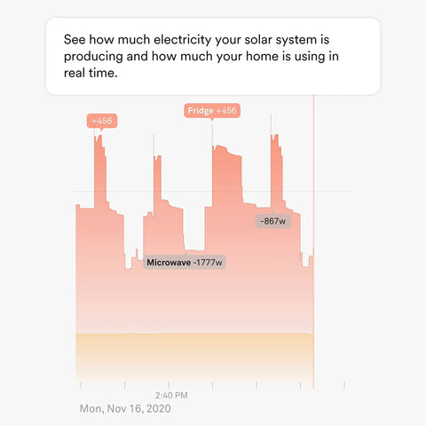 Drop the Heavy Utility Sticker Shock With This Smart Home Energy Monitor and Solar Tracking System Built for Real Time Electricity Usage and Sharp Circuit Level Consumption Insights showing circuit power usage graph with labels for fridge and microwave.