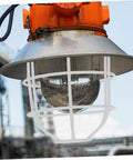 Heavy Duty Wire Lamp Shade And Bulb Guard Cage, outdoor weatherproof protective fixture cover for pendant lights mounted overhead.