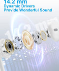 14.2 mm dynamic drivers in Type C Wired Earbuds With Mic and Remote For iPhone And Android, showing sound components.