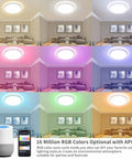 Smart LED Ceiling Light Flush Mount With WiFi Voice Controlled 35W 12 Inch Color Changing RGB Dimmable Sleek Low Profile