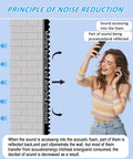 Diagram illustrating noise reduction principles with a woman demonstrating sound absorption using Four Pack 48X24X2 Inch Egg Crate Acoustic Foam Panels For Walls Boost Your Vibe Super Game Changer Soundproof Studio Treatment Hella Effective Noise Dampening Absorber Kit.