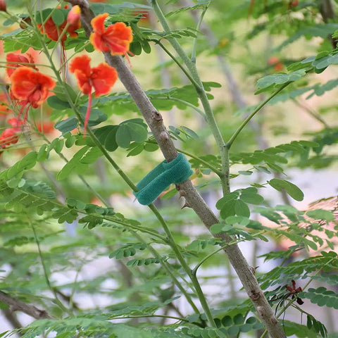 Green Garden Cable Ties For Plants And Vines, Adjustable Nylon Ties support stem without damaging leaves, grip solid, 8 Inch