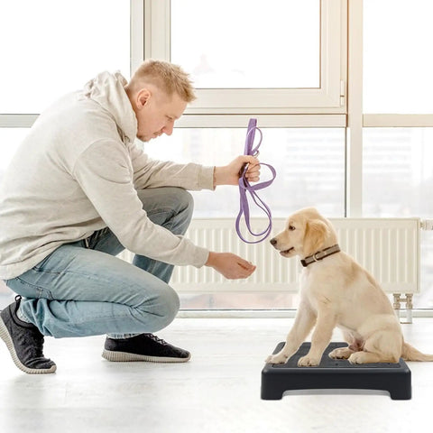 Trainer using Portable Dog Training Platform With Non Skid Surface For Small Dogs 17 Inch By 13 Inch By 3.14 Inch Durable Dog Agility Stand.