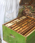 Two Pack 3.5L Bee Feeders For Deep Beehive Frames in use, bees feeding on frame inserted in green hive box outdoors