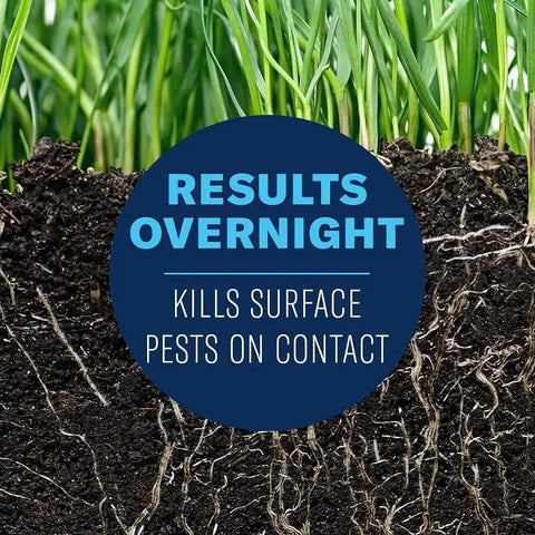 Image showing the effectiveness of 24 Hour Grub Killer Plus Granules For Lawns Kills Grubs Ticks Listed Pests Fast.