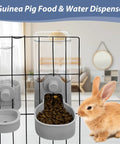 Rock Solid Rabbit Food And Water Dispenser Set With Large Capacity Gravity Feeder System hanging cage mount with bunny nearby.