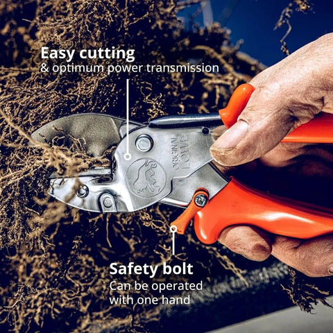 Close-up of Heavy Duty Anvil Pruner For Gardening Beefy Hedge Trimmer And Pruning Shears Handheld Garden Tool in use, cutting roots