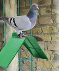 Pigeon on 10-Piece Plastic Dove Rest Stands With Anti-Skid And Heat-Resistant Design, Green Pigeon Perch For Racing Birds