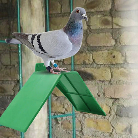 Pigeon on 10-Piece Plastic Dove Rest Stands With Anti-Skid And Heat-Resistant Design, Green Pigeon Perch For Racing Birds