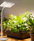 Boss Tabletop Grow Light For Seed Starting Bonsai And Succulents, 25W Desk Plant Light illuminating indoor plants