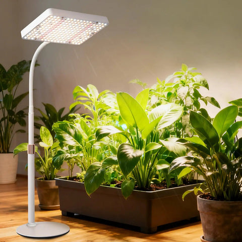 Boss Tabletop Grow Light For Seed Starting Bonsai And Succulents, 25W Desk Plant Light illuminating indoor plants