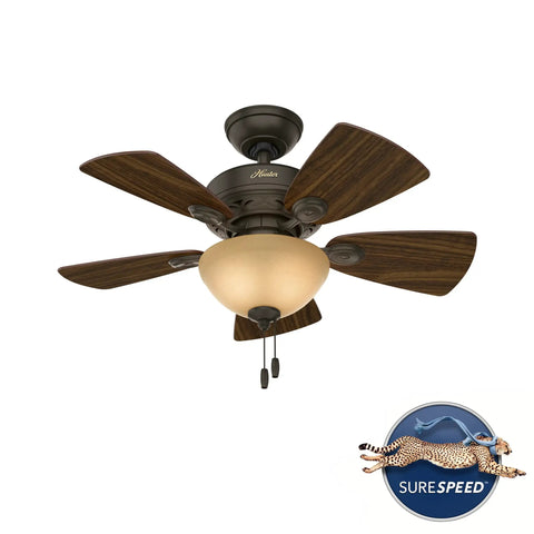 Watson Indoor Ceiling Fan With LED Light And Easy Pull Chain Control In Bronze Finish Whisper Wind Quiet Multi Speed Reversible Motor Tea Stain Glass Globe Classic Home Comfort Room Ready