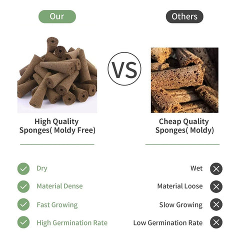 Comparison of 100 Pack Grow Sponges And Seed Pods Replacement For AeroGarden Mold Free vs Moldy Sponges for Hydroponic Systems