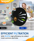 Vacuum Filter Replacement For CleanView Rewind Upright Bagless Vacuums Models 3533 3313 3333 3534 3536 3675 3676 3335 4 Pack Washable Durable Must Have Easy To Install And Long Lasting Performance showing filtration efficiency.