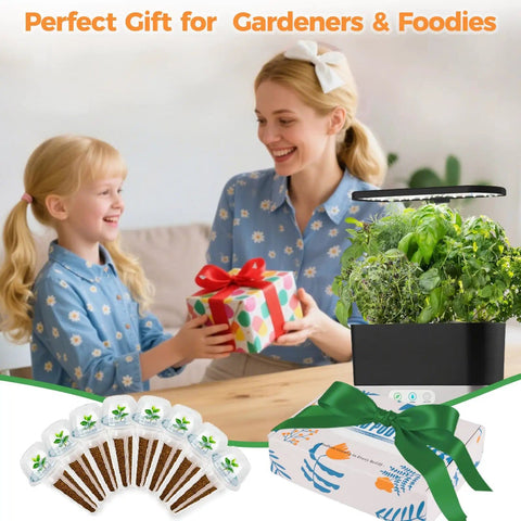 Genovese Basil Seed Pods Kit For Hydroponics Refill With Eight Grow Pods Seeds And Plant Food for AeroGarden iDOO system