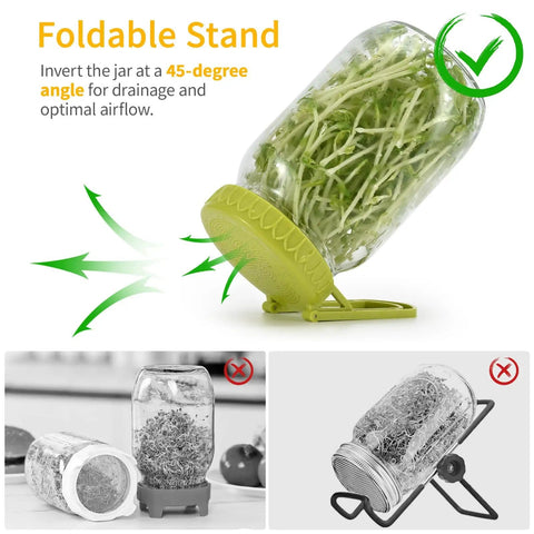Wide Mouth Mason Jar Sprouting Kit Two Pack With BPA Free One Piece Lids And Built In Stand For Seed Germination Fits 3.38 Inch Wide Mouth Jars For Hands Free Sprouting And Quick Easy Rinse Drain supporting bean sprouts at 45-degree angle