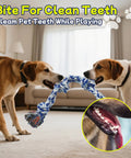 Two dogs playing with Four Pack Heavy Duty Dog Rope Toys For Aggressive Chewers, nearly indestructible, 100 percent cotton.