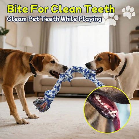 Two dogs playing with Four Pack Heavy Duty Dog Rope Toys For Aggressive Chewers, nearly indestructible, 100 percent cotton.